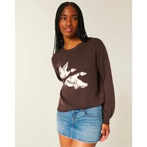 NWT Hollister Flying Birds Sweater